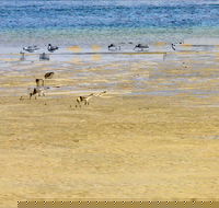 Towra Beach - QLD Tourism