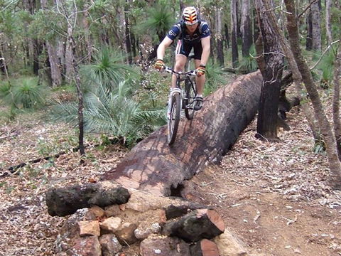 Turner Hill Mountain Bike Trail, Murray - QLD Tourism 0