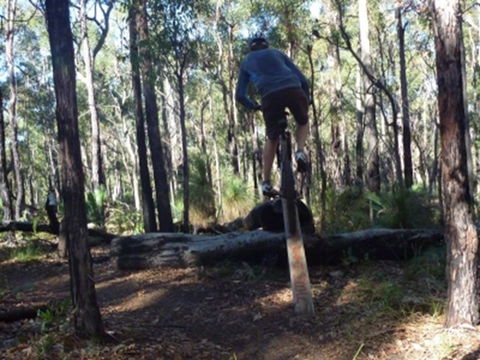 Turner Hill Mountain Bike Trail, Murray - QLD Tourism 1