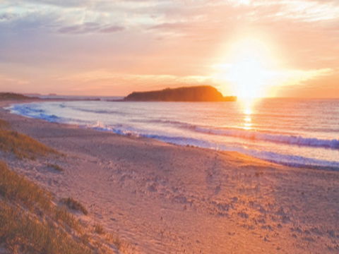 Warilla Beach: Shellharbour - QLD Tourism 0