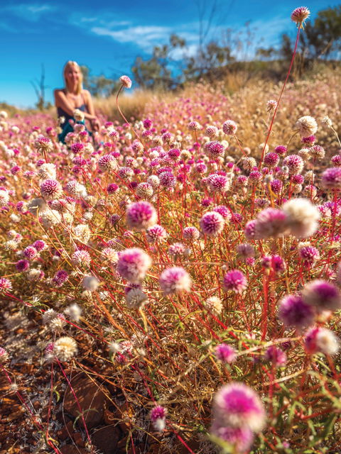 Wineries And Wildflowers - QLD Tourism 0