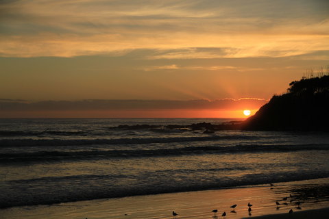 Woolgoolga - QLD Tourism 2