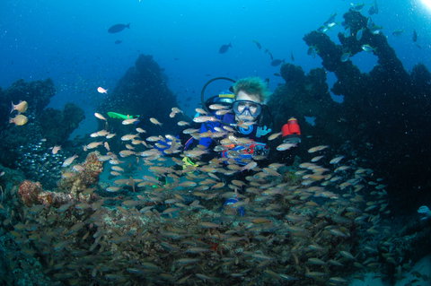 Aarhus Dive Site - QLD Tourism 0