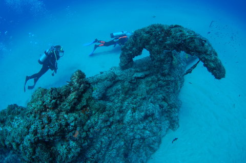 Aarhus Dive Site - QLD Tourism 1