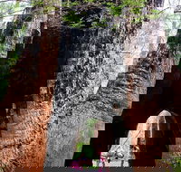 Ancient Empire Walk Valley of the Giants - Queensland Tourism