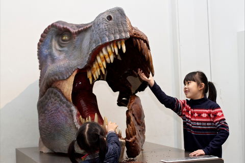 Australian Museum - Queensland Tourism 0