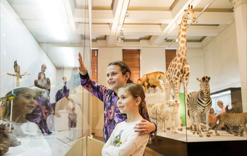 Australian Museum - Queensland Tourism 1