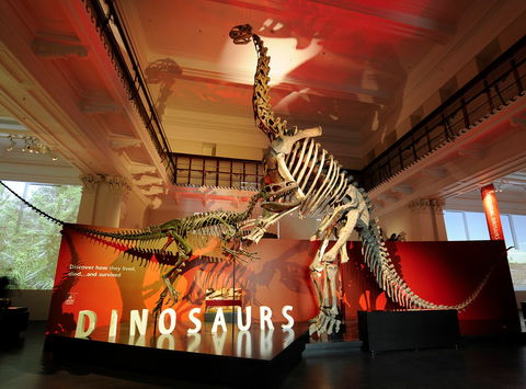 Australian Museum - Queensland Tourism 2