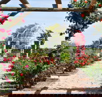 Australian Inland Botanic Gardens - QLD Tourism