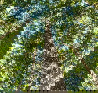 Big Sky National Parks - QLD Tourism