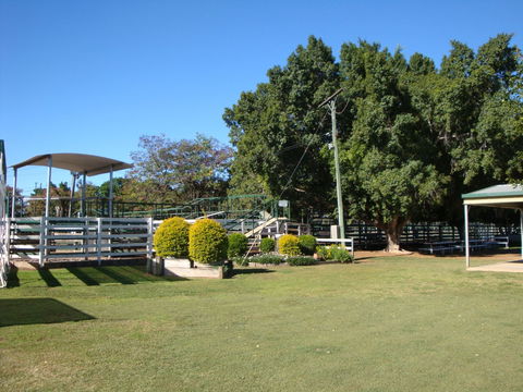 Blackall Saleyards - Queensland Tourism 1