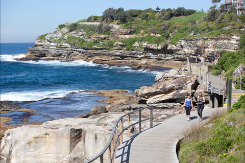Bondi To Coogee Coastal Walk - QLD Tourism 1