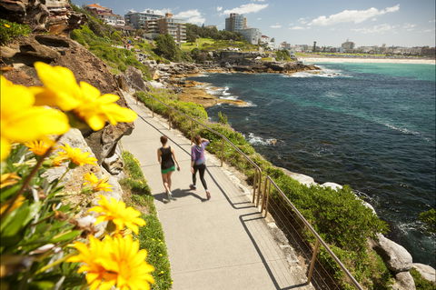 Bondi To Coogee Coastal Walk - QLD Tourism 2