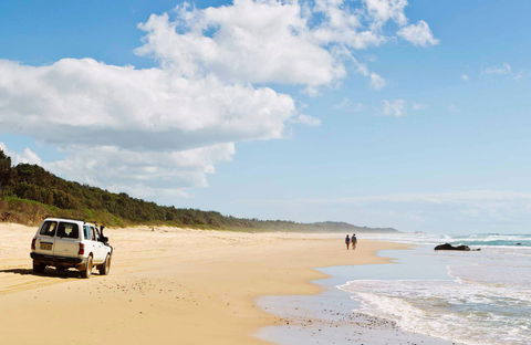 Bongil Bongil National Park - Queensland Tourism 0
