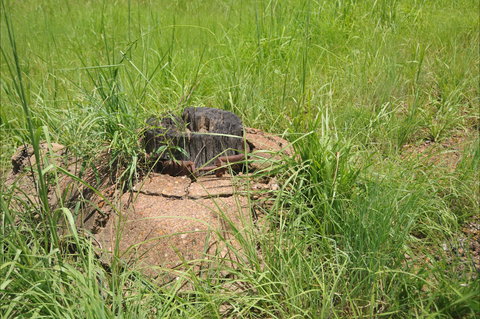 Brocks Creek Chinatown And Temple Site - QLD Tourism 0