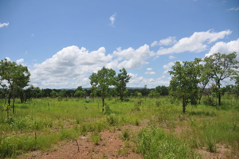 Brocks Creek Chinatown And Temple Site - QLD Tourism 1