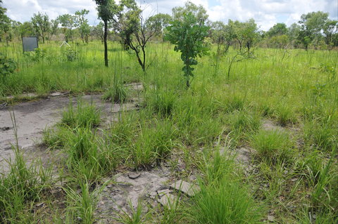 Brocks Creek Chinatown And Temple Site - QLD Tourism 2