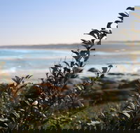 Cape Conran Coastal Park - QLD Tourism