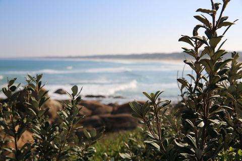 Cape Conran Coastal Park - Queensland Tourism 0