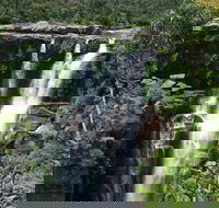 Carrington Falls - QLD Tourism