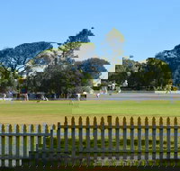 Cootamundra Cricketing Exploration - QLD Tourism
