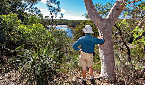 Corkwood And Scribbly Gum Walking Track - QLD Tourism 0