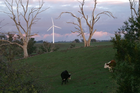 Crookwell Wind Farm - QLD Tourism 1