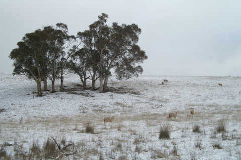 Crookwell Wind Farm - QLD Tourism 2