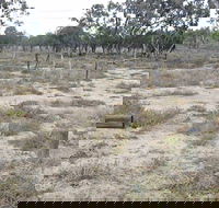 Culgoa Connellys Track - QLD Tourism