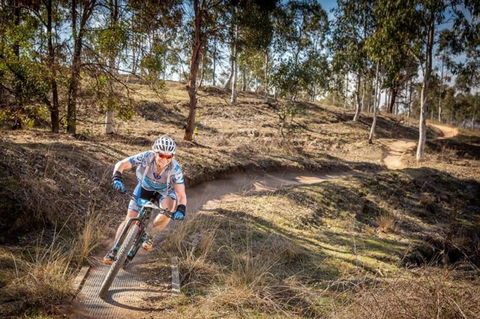 Cycle Mogo State Forest - QLD Tourism 0