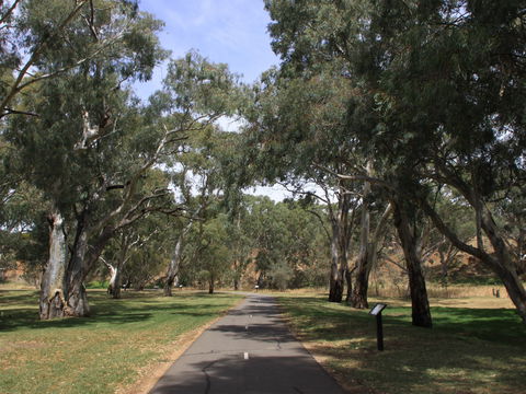 Dead Mans Pass - QLD Tourism 0