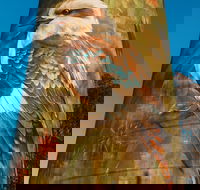 Deniliquin Water Tower Mural - QLD Tourism