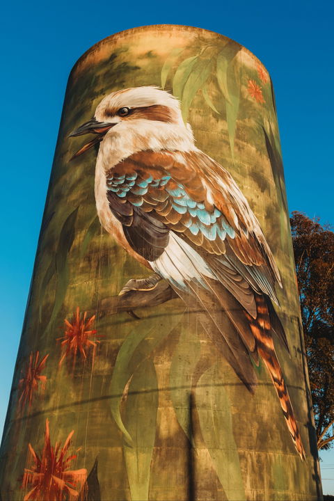 Deniliquin Water Tower Mural - QLD Tourism 0