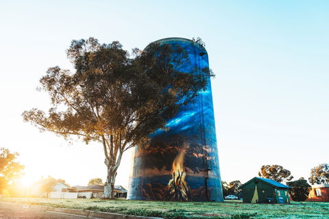Deniliquin Water Tower Mural - QLD Tourism 1