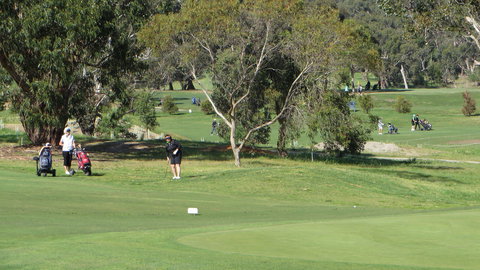 Devilbend Golf Club - QLD Tourism 2