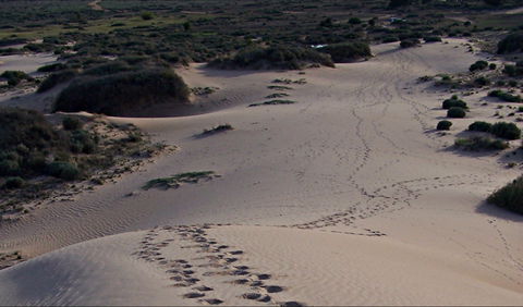 Foreshore Walk, Mungo National Park - QLD Tourism 0