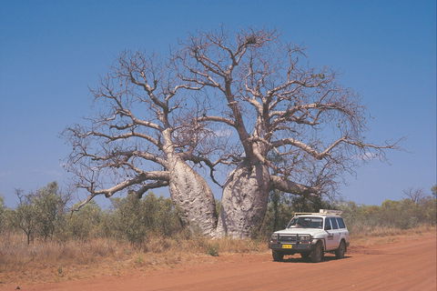 Gibb River Road - QLD Tourism 2