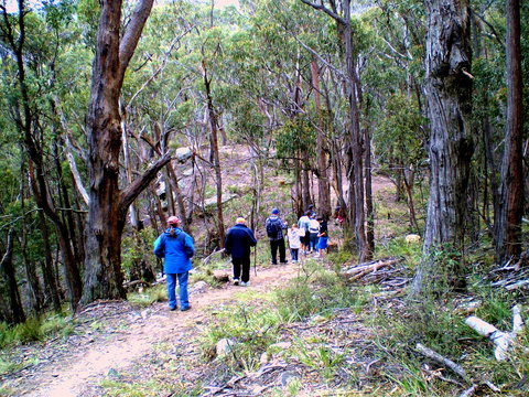 Greater Blue Mountains Heritage Trail - QLD Tourism 2