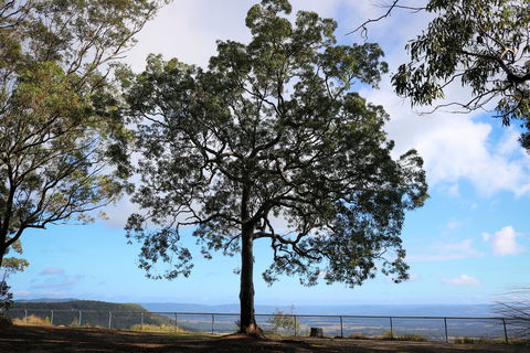 Heaton State Forest - Watagan Mountains - QLD Tourism 2
