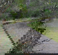 Leschenault Peninsula Conservation Park - QLD Tourism