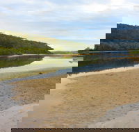 Mangrove Walk - QLD Tourism