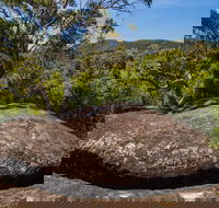 Marramarra Ridge to Smugglers Ridge walking track - QLD Tourism