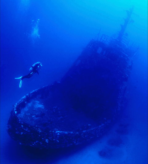 Merimbula Divers Lodge - QLD Tourism 0