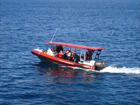 Merimbula Divers Lodge - QLD Tourism 1