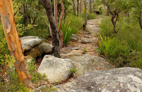 Mount Olive Trail - QLD Tourism 0