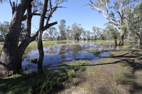 North Western Fishing Trail - QLD Tourism 2