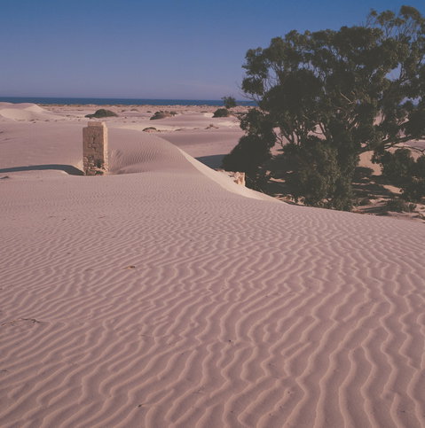 Nullarbor Plain - QLD Tourism 0