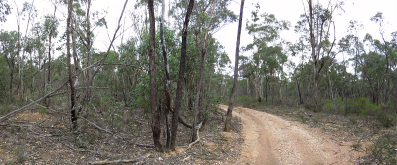 Adelaide Lead VIC QLD Tourism