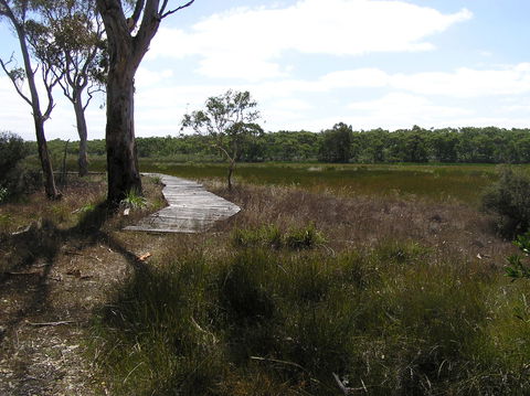 Penola Conservation Park - Queensland Tourism 0