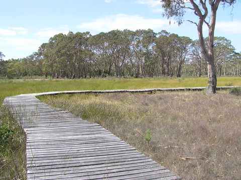 Penola Conservation Park - Queensland Tourism 1